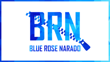BRN Logo